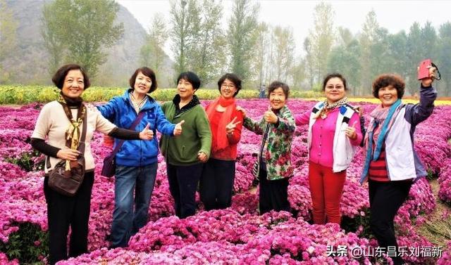 2025年10月22日图片日记(下)