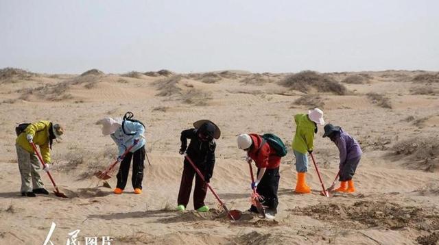 美国专家：这县城必成罗布泊！4万年轻姑娘不信邪，直接杀到沙漠
