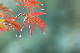 高中的第一次月考分数的大概划线，仅供参考图片