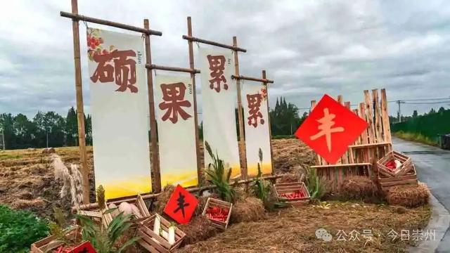 带你玩转天府酒村！秋季村糖会最全游玩攻略来了