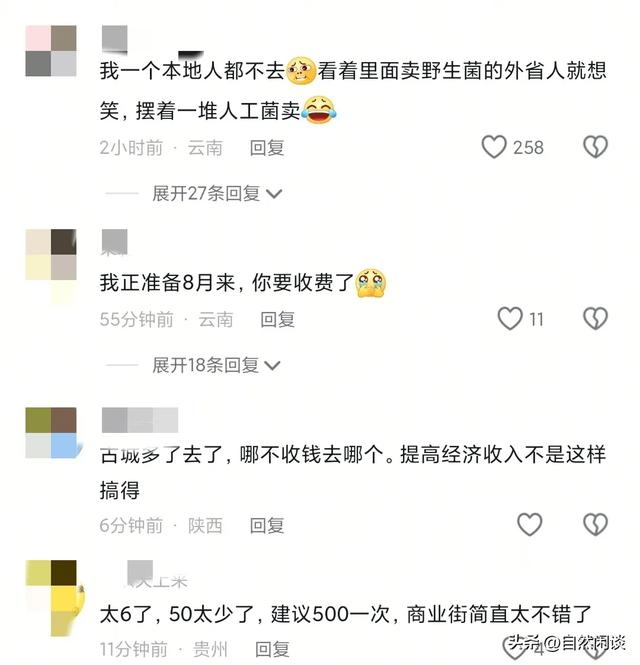 绝不踏入丽江古城半步，古城再次收费引网友不满，恐成为凤凰古城