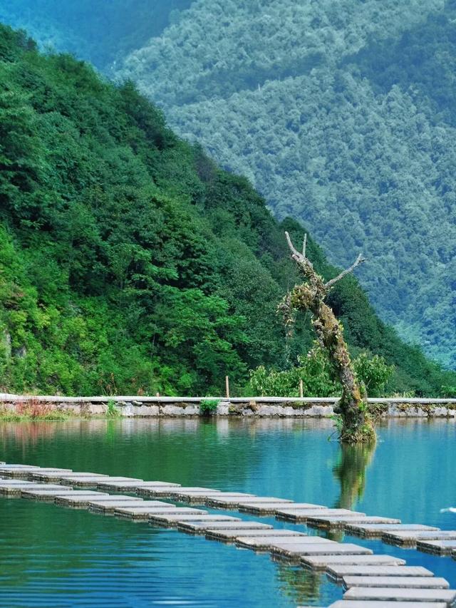 知道小凉山彝乡峡谷有多壮观吗？城巴佬！