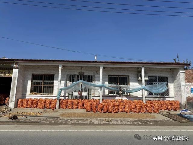 冠县乡韵·兰沃乡大柳邵村