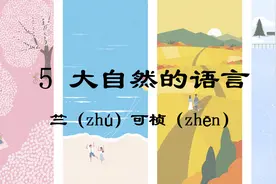 八下语文5《大自然的语言》重要知识点（详细，可预习可复习）图片