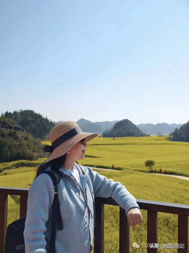 【滇东南游记·二】罗平:在金色花海里追一场春天的光影