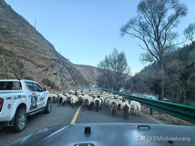 古意秋风三万里（D20）-从临泽县到祁连县