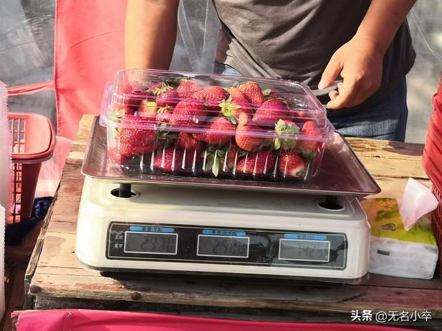 我来告诉你，广西水果自由的背后藏着多少“不可告人”的秘密