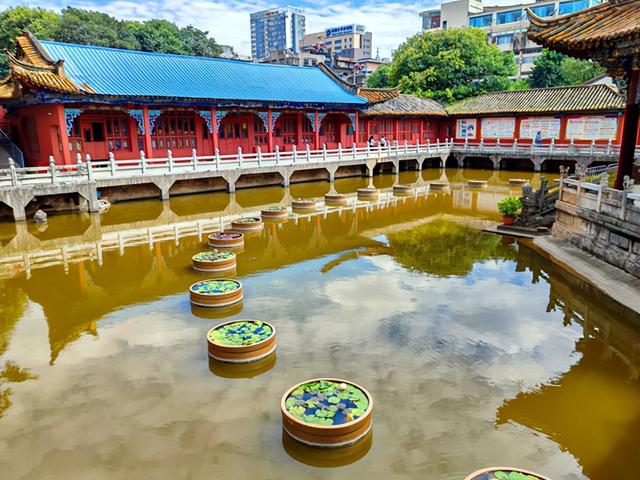 云南旅游：难忘九到昆明走马观花行（图）