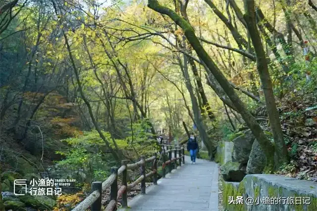 西安秦岭最美峪口之一，把山水玩到了极致！秋色正浓，就现在！