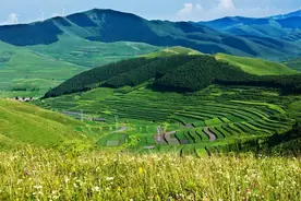 张家口市沙化土地治理成效位列全省第一图片