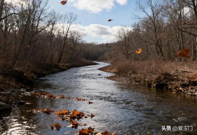 上午立冬冻死牛，下午立冬暖烘烘”，今年立冬几点？有啥说法？