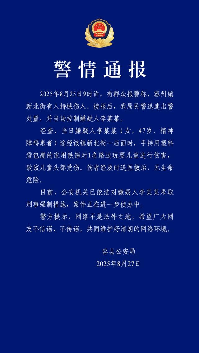 女子当街锤击儿童被采取刑事强制措施