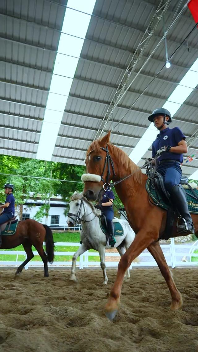 遵义又新增一处新玩法！