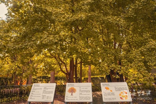 上海市中心又一公园将24小时开放！坐落于外滩和城隍庙之间，宝藏机位藏不住了