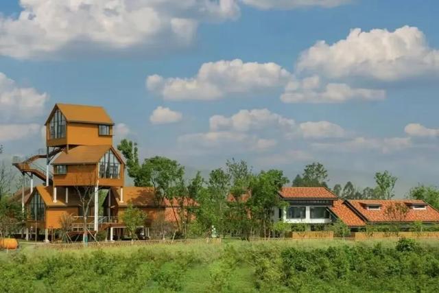 金堂文旅联动飞猪旅行、咪咕视频放大招