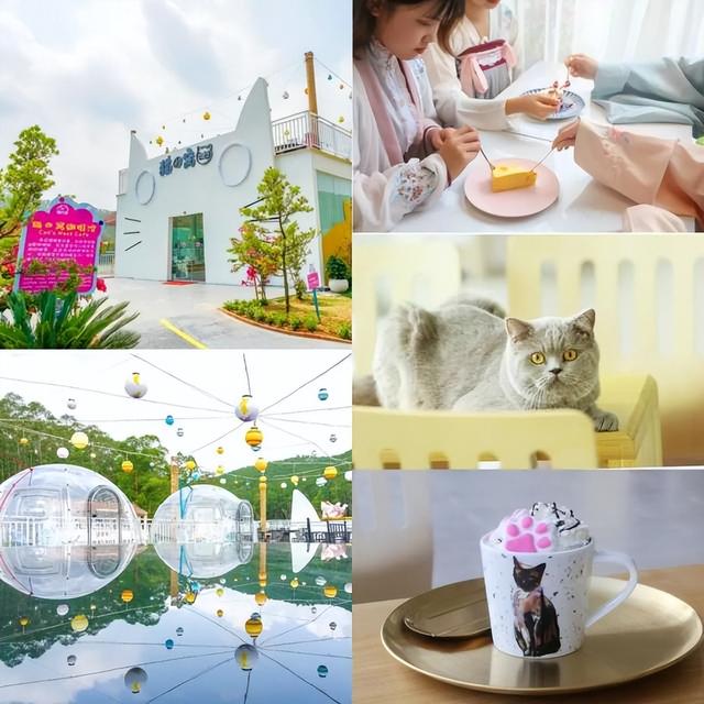 免票、打折……肇庆超多福利来袭！速看→