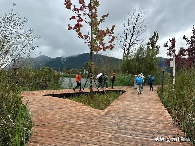 假日徒步，走昆明滇池草海之开合浮桥、雨中打卡新晋网红地，休闲