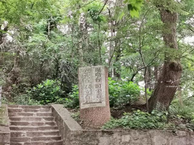 河南著名避暑地，与北戴河、莫干山、庐山齐名，游客却还不多？