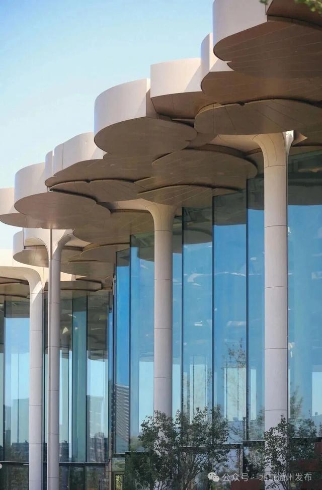 厉害了！副中心北京城市图书馆再获国际大奖