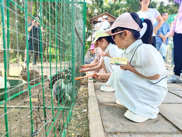 从浪浪山到蓬莱阁，这场仙境之旅太懂打工人了