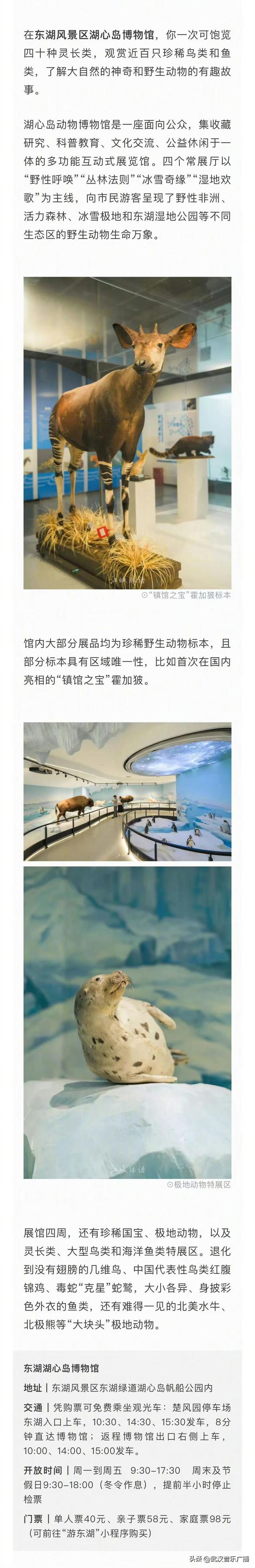 武汉藏在公园里的博物馆太好逛了