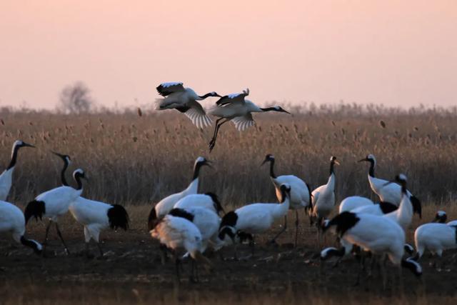 旅时再压缩！这里将首开进京标杆高铁
