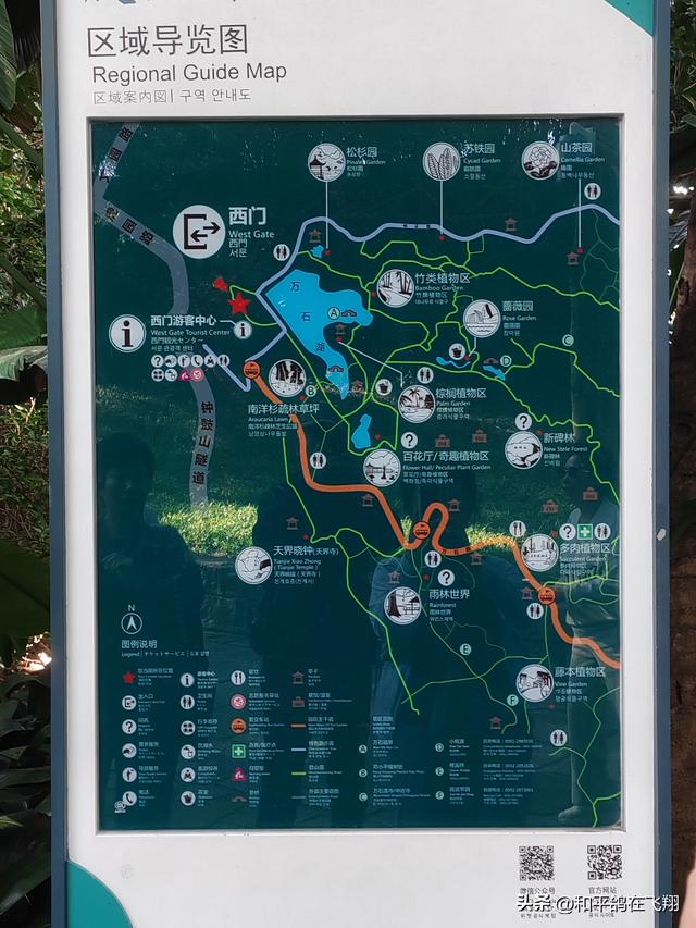 厦门植物园：邂逅自然的绮梦