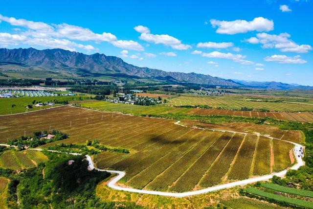 辽宁省地方政府专项债申请与应用现状分析报告