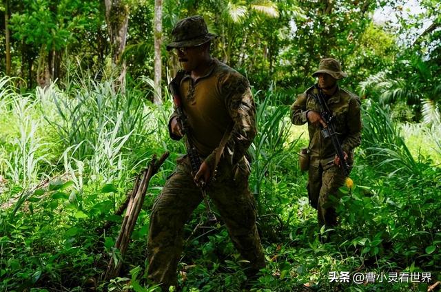 美国要对委内瑞拉动手？这局棋下得有点意思