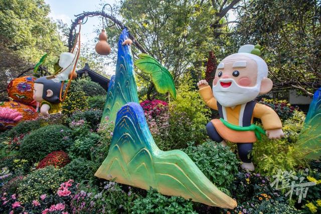 全是人人人人人！一年一度杭州“顶流”人气菊花展登场