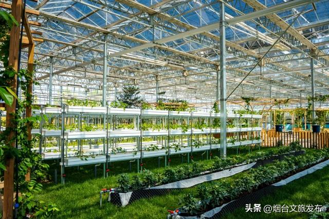 【乐游烟台】新晋遛娃地，烟台这家自然乐园超好玩