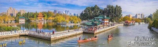 跟着赛事游昆明｜昆明金色信号已满格！这份“市区寻金图鉴”带你解锁冬日温柔