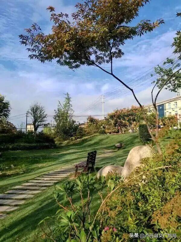 【文旅医养】封神！冬天去卢氏，就按这个节奏玩！