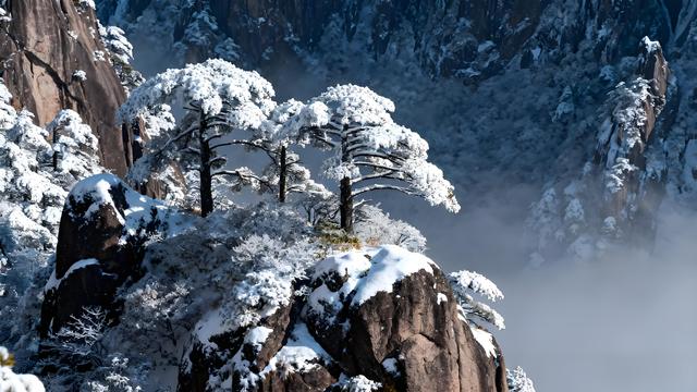 初雪染黄山 仙境入画来 —— 初冬秘境深度游纪