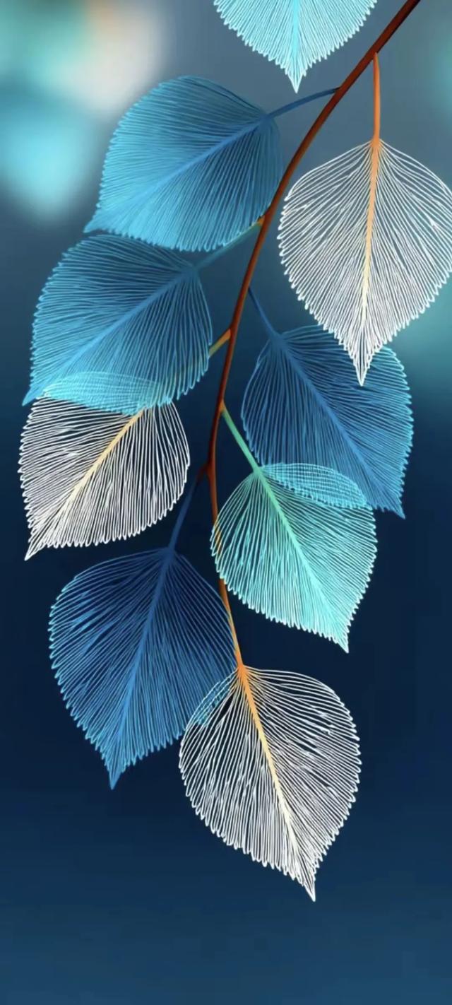 手机壁纸精美图片(162)