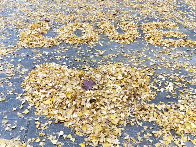 在汉阳的秋天，捡出一个灵感宝库