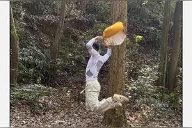 社畜现状：没有朋友，更找不到徒步搭子图片