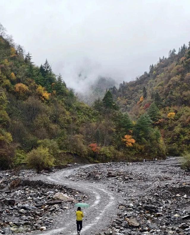 【美丽四川】平武沙棘沟行记：穿过五公里雨雪晴阴 收获“无执”的秋日‖柳红樱