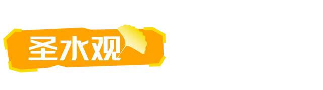 山东:时至初冬,银杏正当时