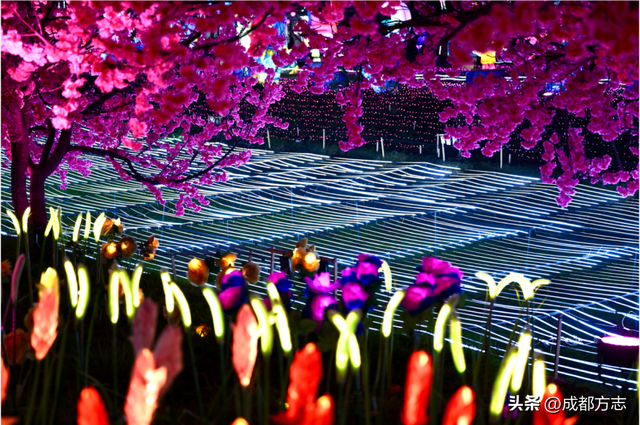 近10万平！首届非遗千灯游园会来了！4号线直达→