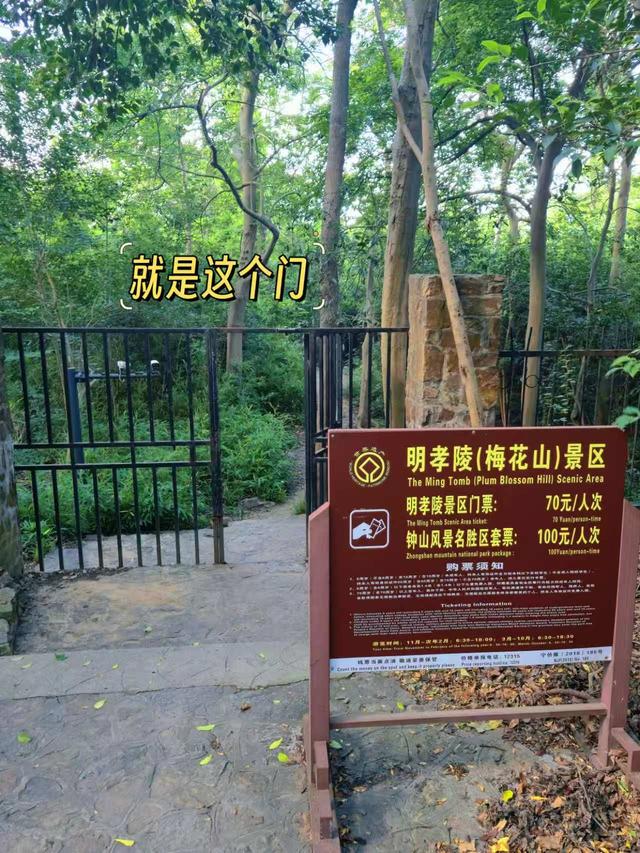 南京紫金山日出和免费游明孝陵