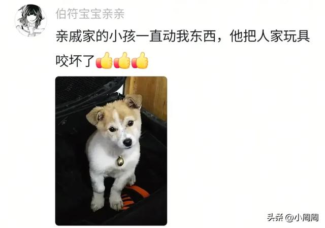开学第一天狗进食堂帮主人送书包，本想闻主人在哪，结果全是饭香