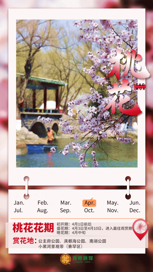 听劝！来呼和浩特赏花吧，四季可约~