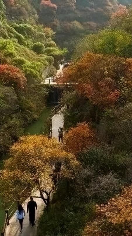 解锁宝藏小城的秋日浪漫——美景篇（二）