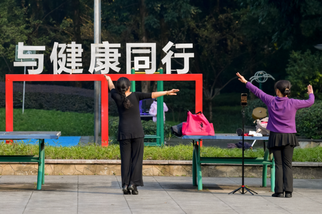 冬日晴好，九龙花木太出片了！