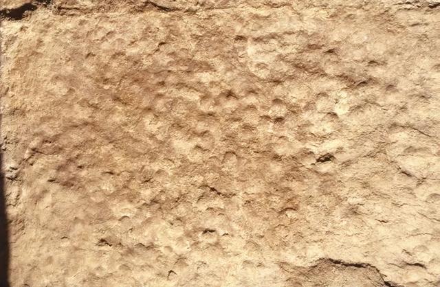 蔡全法、郝红星：变身的古城 河南新密古城寨龙山文化遗址