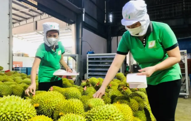 失去中国市场后，大量水果烂地里卖不出去，现在开始后悔得罪中国