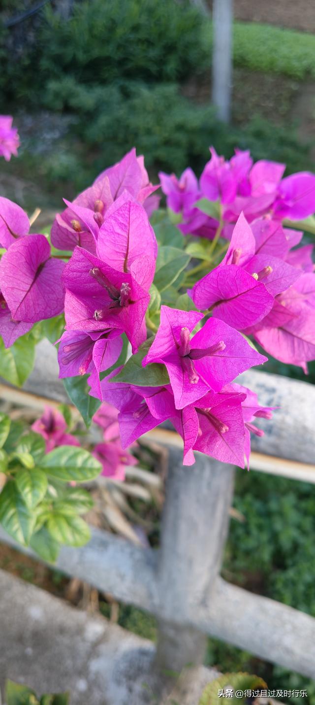 婺源游记-01慢品人间烟火