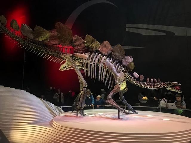 带孩子逛几个小时博物馆，啥都没记住？分享四招“有效参观”