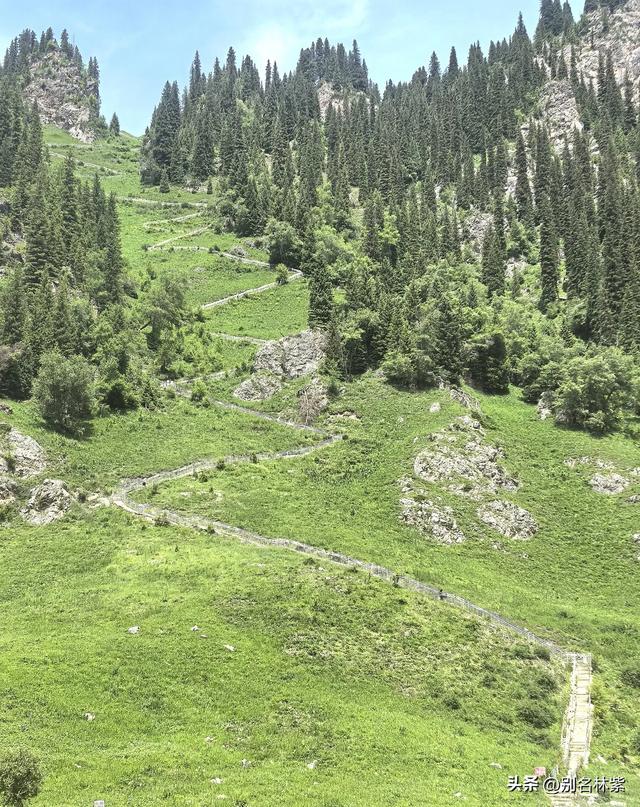自驾新疆，走大名鼎鼎的独库公路和百里画廊，霍城看薰衣草（4）